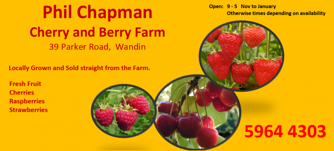 Phil Chapman Berry Farm