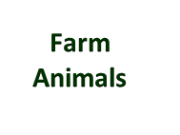 Farm Animal Page