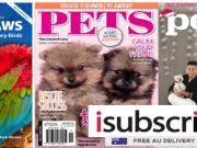 iSubscribe  Pets