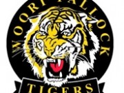 Woori Yallock Tigers