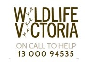 Wildlife Victoria