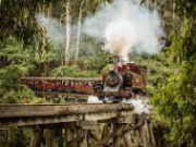 Puffing Billy Forest Ride