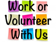 Work-Learn-Volunteer